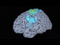 Renée Fleming's Brain Scan: Understanding Music and the Mind