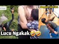 Kumpulan video lucu Viral  bikin ngakak || humortv