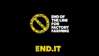End of the Line for Factory Farming – Factory farming fuels climate change