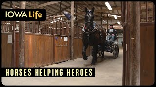 Horses Helping Heroes: How Equine Therapy Supports Iowa Veterans | Iowa Life