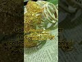 gold plated copper making jewellery collection original sakha gold jewellery imitation jewellery