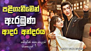 Part for Ever Drama Explained in Sinhala | පළිගැනීමෙන් ඇරඹුණ ආදර අන්දරය | Sinhala Review