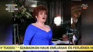 Pándy Piroska: Egy férfi képe