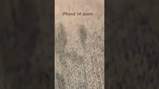 iPhone 14 zoom is horrible….💀