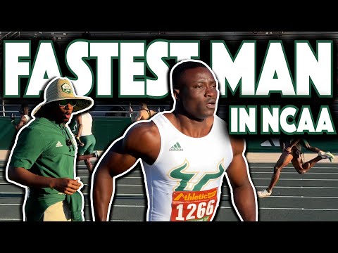 What division is University of South Florida track and field?