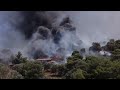 A fight over replanting Greece's burned forests | REUTERS