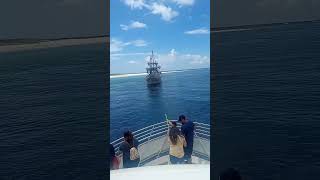 dolphin tours encounter pirates