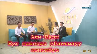 Бул жашоодо убактылуу конокбуз