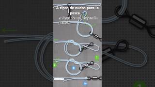 4 tipos de nudos para la pesca #fishing #viralshort #viralvideo #pesca #fish #pezdorado ..suscríbete