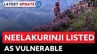 Neelakurinji Listed As Vulnerable | IUCN Red List | Latest Update | Drishti IAS English