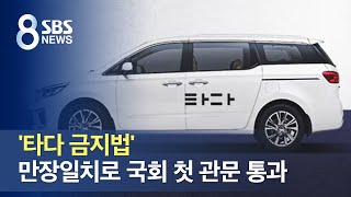 '타다 금지법' 만장일치로 국회 첫 관문 통과 / SBS