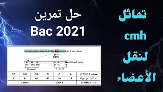 - [ التمرين 9 في المناعة بكالوريا ] يتحدث عن تماثل cmh بين الإخوة 👬 .