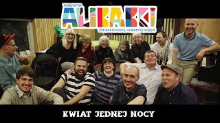 Tribute to Alibabki – Kwiat jednej nocy feat. Kuba Kaczmarek