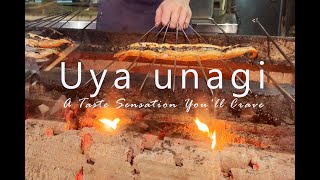 UYA Unagi, Wheelock: The Best Charcoal-Grilled Unagi in Singapore 超好吃炭烤生鳗鱼