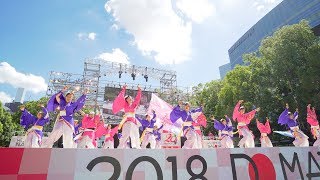 [4K] 八おとめ天女　どまつり 2018　本祭2日目