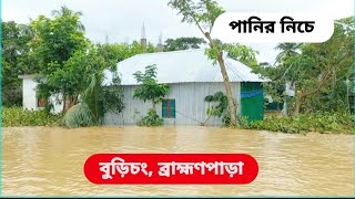 বুড়িচং বন্যা | ব্রাহ্মণপাড়া বন্যা | flood in burichong | comilla