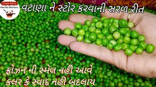 શિયાળામાં મળતા વટાણા ને બારે માસ સ્ટોર કરી રાખો લીલા છમ આખું વર્ષ / lila vatana ne stor karvani rit/