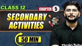 SECONDARY ACTIVITIES Full Chapter In 55 Min | Class 12th Geography Mind Map