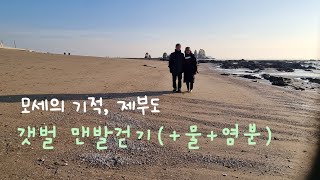 모세의 기적, 하루 두 번 물길이 열리는 제부도 갯벌 맨발걷기