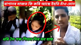 এইবোৰৰ কাৰণে সমাজ খন বেয়া দিশে গতি কৰিছে । বাগানৰ মাজত ইহঁতৰ মৰম জাগিছে ।