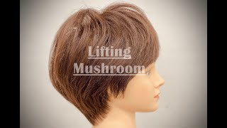 1분 헤어커트/후대각 리프컷/리프팅 머쉬룸/lift mushroom/hair cut