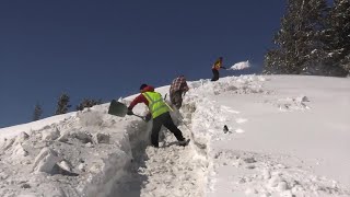 Migrating YNP bison get help from volunteers tunneling through snow