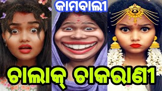 ଚାଲାକ୍ ଚାକରାଣୀ || Kamwali Bai || ଚତୁର ଚାକରାଣୀ😂😂😂