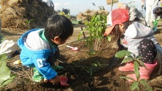 静岡県掛川市で大規模植樹祭！　中東遠総合医療センターで