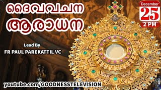 ദൈവവചന ആരാധന | 25 DEC | FR PAUL PAREKATTIL VC | GOODNESS TV