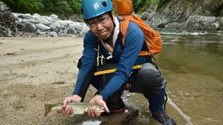 2020/08/28～ 30山形県　朝日連峰　八久和川　イワナ釣り