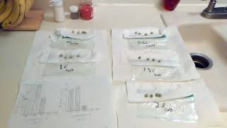 Apes Seed germination lab