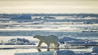 CLIMATE CHANGE: Rising temperatures impact on polar regions and glaciers