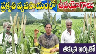 ప్రకృతి వ్యవసాయం తోనే రైతుకు మేలు | prakriti vyavasayam | prakriti sethyam | natural farming