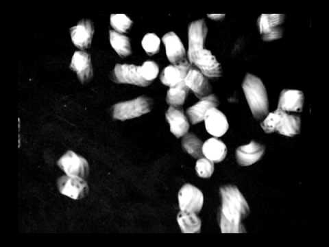 Probability Space Probability Space