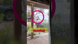 Dad Catches Daughter Cheating on Her Husband 😳