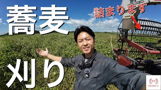 【蕎麦刈りスタート】〜無事終われるか〜悪戦苦闘の刈り取り作業　ヤンマーYH400