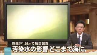 原発沖 1.5kmで独自調査 汚染水の影響 どこまで海に