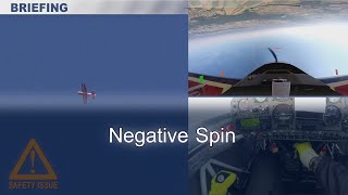 Negative Spin