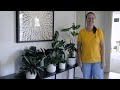 PETITTI Houseplants | Grow From Your Strengths - Calathea & Alocasia