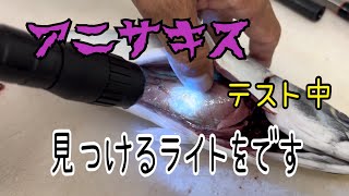 アニサキスを見つけるライトです編 vol.539