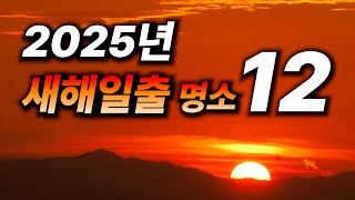 𝟮𝟬𝟮𝟱년, 을사년 푸른 뱀의 해! 전국 새해일출 추천명소 𝘽𝙚𝙨𝙩 𝟭𝟮 - 서울 1시간거리부터 해가 제일 먼저 뜨는 장소까지