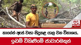 කාගේත් ඇස් වසා සිදුකළ යාල වන විනාශය..ඉඩම් විකිණීමේ ජාවාරමකුත්