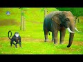 स्वर्ण सिंह का गुप्त पुत्र और काला चीता sher rahasya baccha aur black panther funny animals videos