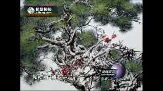 地球宣言2011-08-10 西安世博园中的竹子