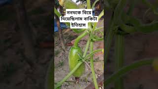 ননদকে বিয়ে দিয়েছিলাম বাকিটা ইতিহাস  #ননদ #বিয়ে #viralvideo #foryou #weeding