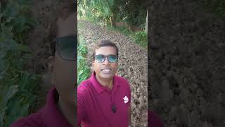 কাদামাটির রাস্তা #mudroad #ruralroads #shortvideo #highlights #village #subscribers #youtuber