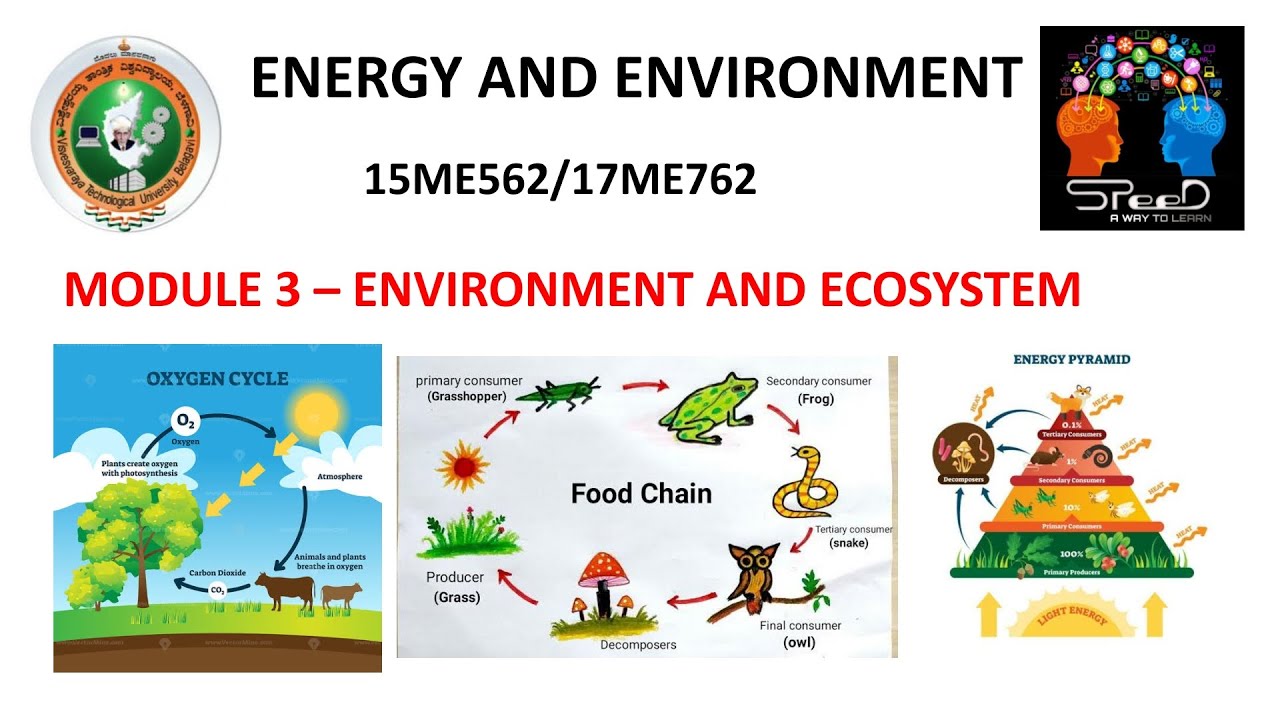 ENERGY AND ENVIRONMENT(15ME562/17ME562): Module 3 - ENVIRONMENT And ...