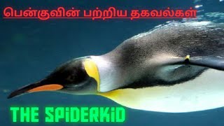 பென்குவின் பற்றிய தகவல்கள்/details about the penguin.