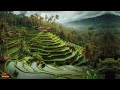 tegallalang rice terraces a glimpse into bali’s cultural and natural heritage