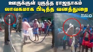 கோழிகளை விழுங்க வந்த ராஜநாகத்தை பிடித்த வனத்துறை | King Cobra | Kanyakumari